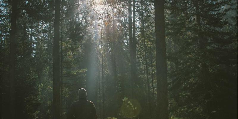 古都洛阳的健康智慧：融合中医养生与河南医疗资源的现代生活指南