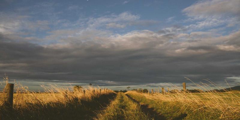 洛阳健康2.0：融合河南医疗资源与中医养生智慧的新时代