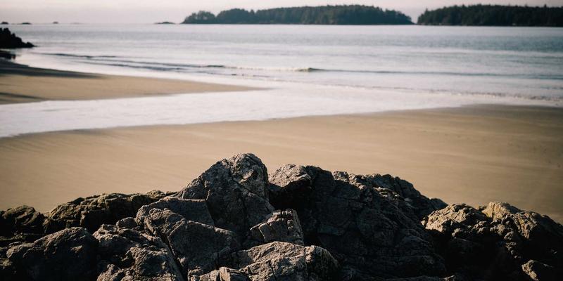 洛阳健康72：古都智慧与现代医疗的交融之道
