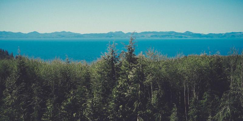 洛阳健康94：解码河南医疗新格局，赋能全民健康生活