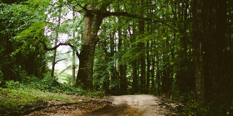 洛阳健康发展新篇章：聚焦优质医疗服务，构筑中原医疗新高地