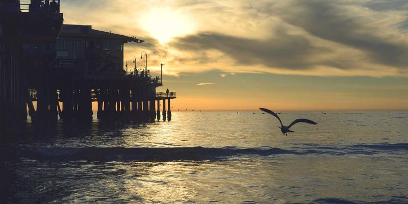 洛阳健康怎么用？从现代医疗到中医养生，打造您的专属健康方案