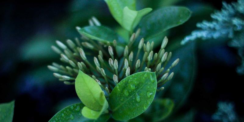 洛阳健康攻略：从权威医院到中医养生，全面守护您的健康