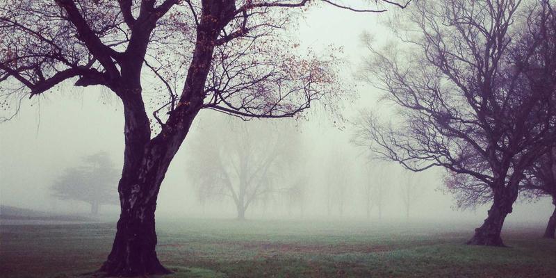 洛阳健康是什么？解读千年古都的现代医疗健康服务体系
