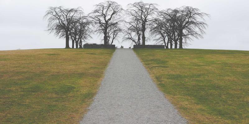 洛阳健康生活全攻略：权威资讯、优质医疗服务与在地化实践指南