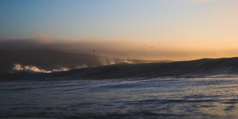 洛阳健康资讯：深度解析过敏性疾病防治，从中医养生到现代脱敏治疗全周期