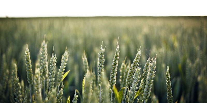 洛阳健康资讯：高血压、糖尿病管理新模式——社区医院与三甲专家联动全指南