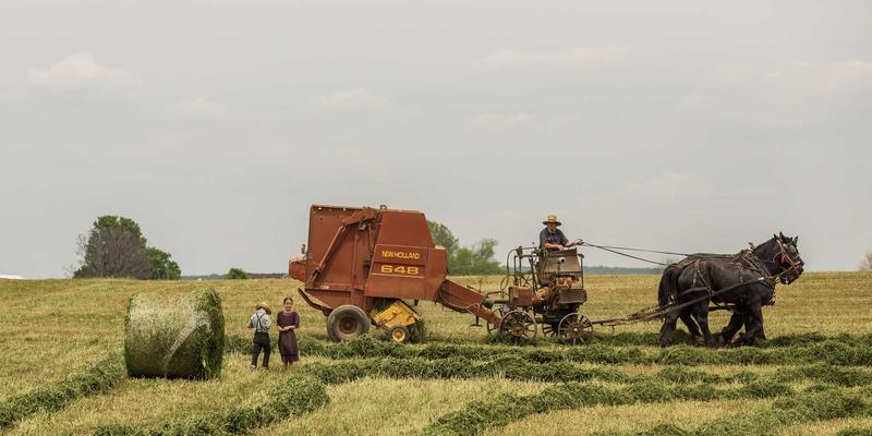 洛阳口腔健康管理指南：从儿童早期矫治到中老年种植牙的智慧选择