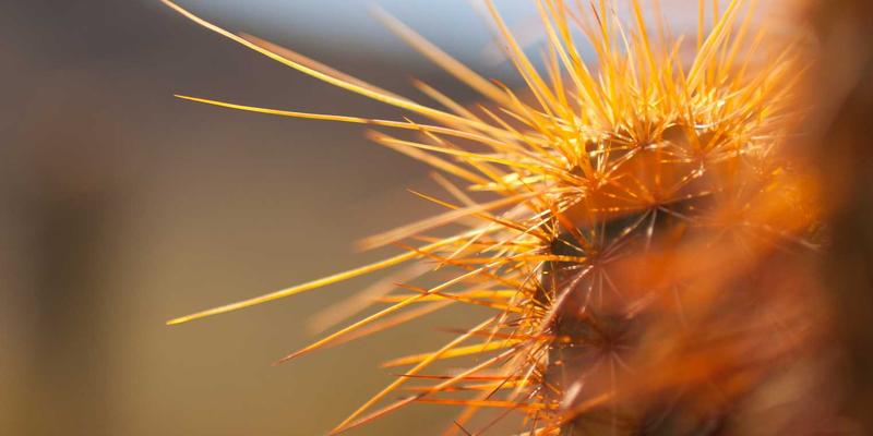 洛阳女性更年期综合管理指南：妇科内分泌门诊与激素替代疗法全解析