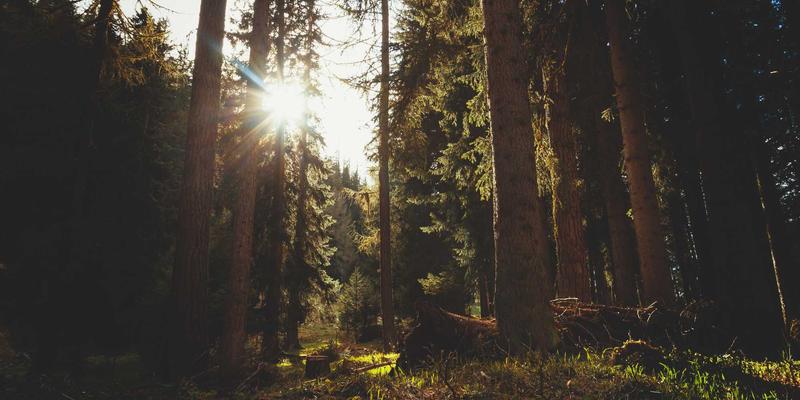 洛阳心脏康复计划：支架术后科学管理指南与社区随访服务详解