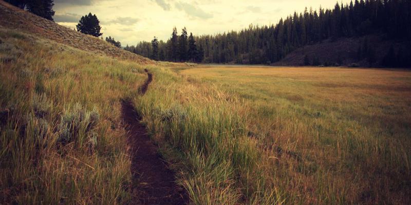 洛阳运动医学中心：膝关节韧带损伤的微创手术与系统康复全解析